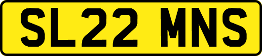 SL22MNS