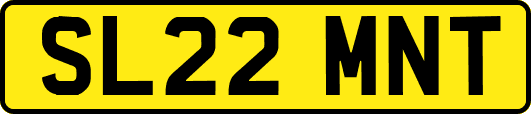 SL22MNT