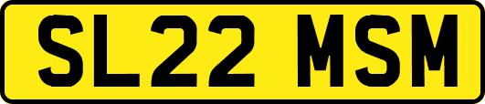 SL22MSM