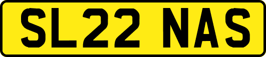 SL22NAS