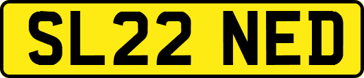 SL22NED
