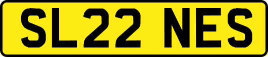 SL22NES