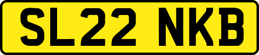 SL22NKB