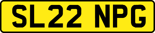 SL22NPG