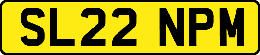 SL22NPM