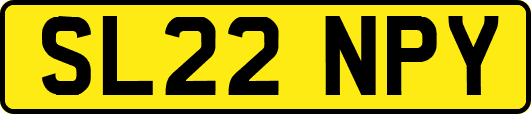 SL22NPY