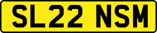 SL22NSM