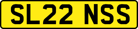 SL22NSS