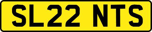 SL22NTS