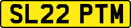 SL22PTM