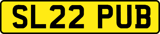 SL22PUB