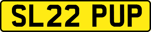 SL22PUP