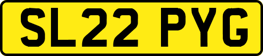 SL22PYG