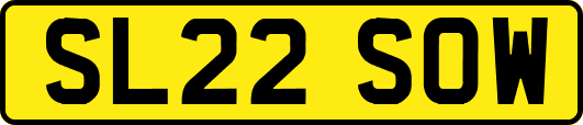 SL22SOW