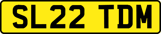 SL22TDM