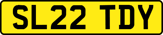 SL22TDY