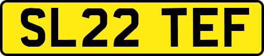 SL22TEF