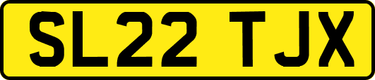 SL22TJX