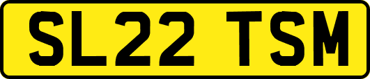 SL22TSM