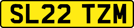 SL22TZM