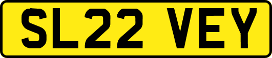 SL22VEY