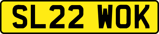 SL22WOK