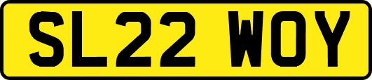 SL22WOY