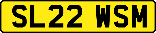 SL22WSM