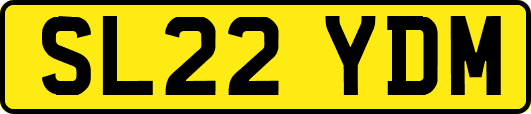 SL22YDM