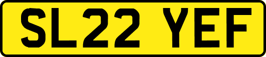 SL22YEF