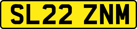 SL22ZNM
