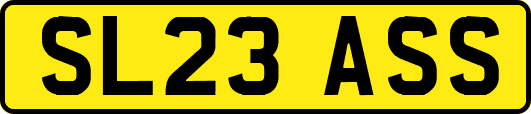 SL23ASS