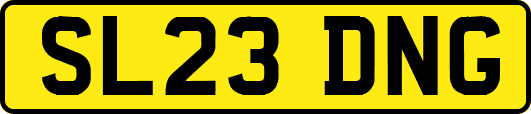 SL23DNG