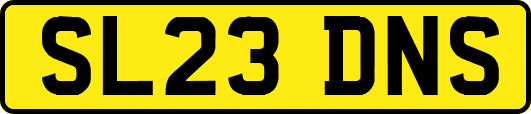 SL23DNS