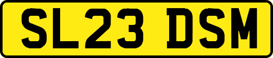 SL23DSM
