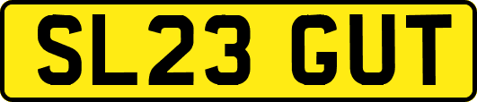 SL23GUT