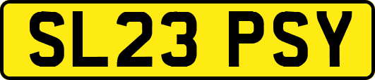 SL23PSY