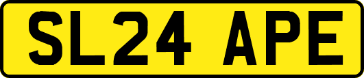 SL24APE