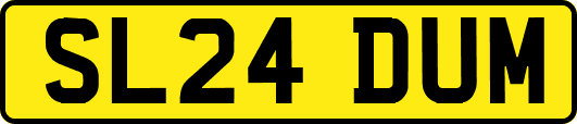 SL24DUM