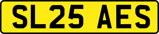 SL25AES
