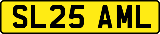 SL25AML