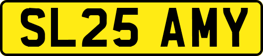 SL25AMY