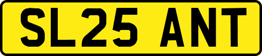 SL25ANT
