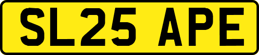 SL25APE