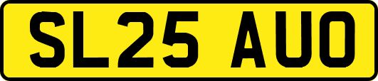 SL25AUO