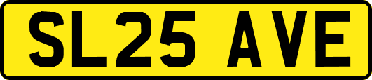 SL25AVE