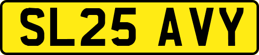 SL25AVY