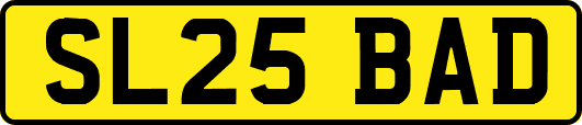 SL25BAD
