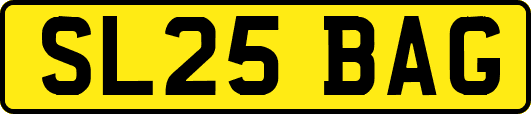 SL25BAG