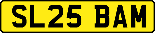 SL25BAM